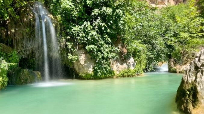 uploaded-image-erdemli-belediyesi-ve-kadin-haklari-isleri-1698137705921