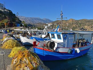 Erdemli’de Balıkçılık Sezonu Raporları