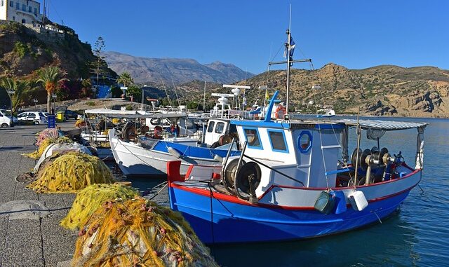 Erdemli’de Balıkçılık Sezonu Raporları Erdemli’de Balıkçılık Sezonu Raporları