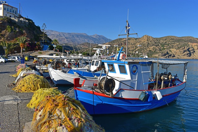 Erdemli’de Balıkçılık Sezonu Raporları Erdemli’de Balıkçılık Sezonu Raporları
